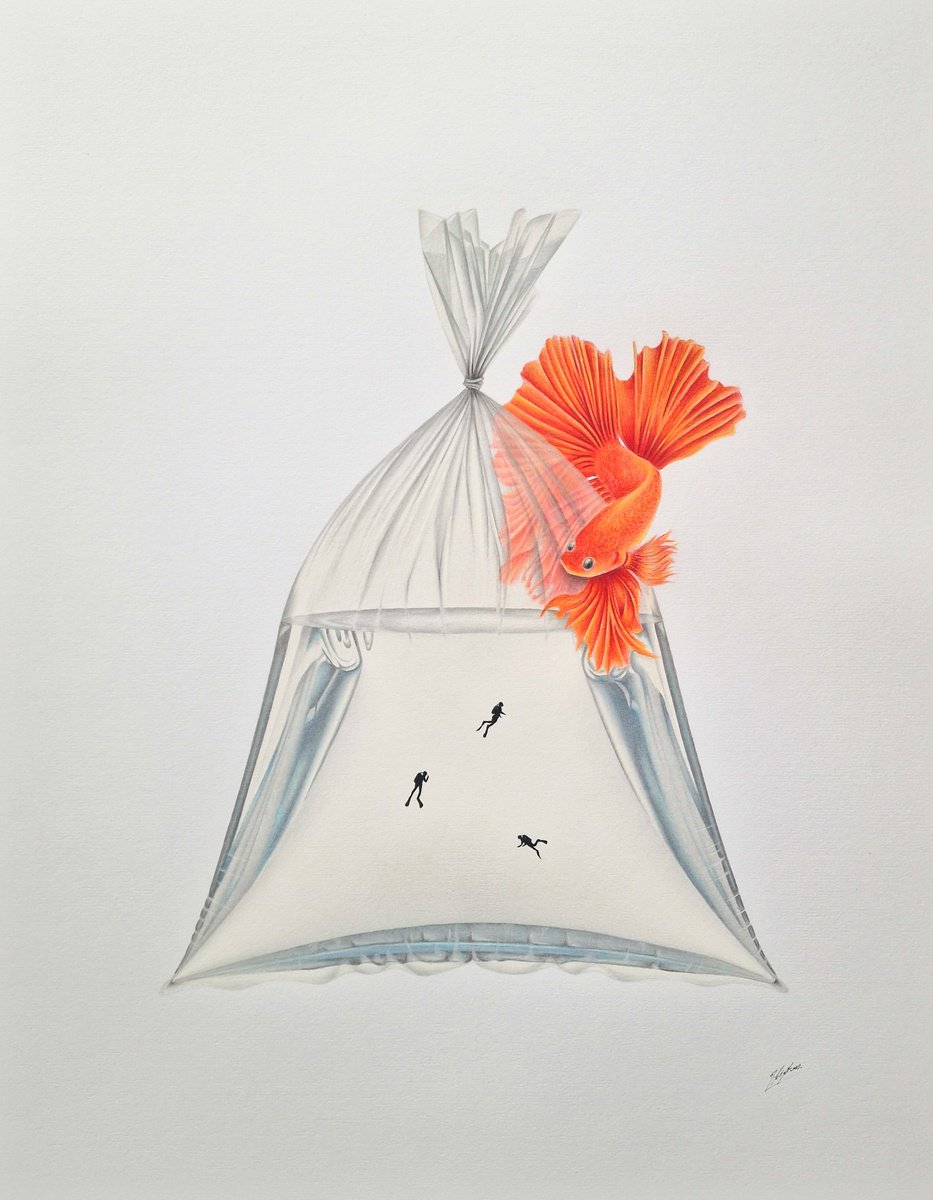 Surrealistic Animal Pencil Drawing By Daniel Shipton, 16 X 20, Fish Out Of Water: 1, Original Artwork