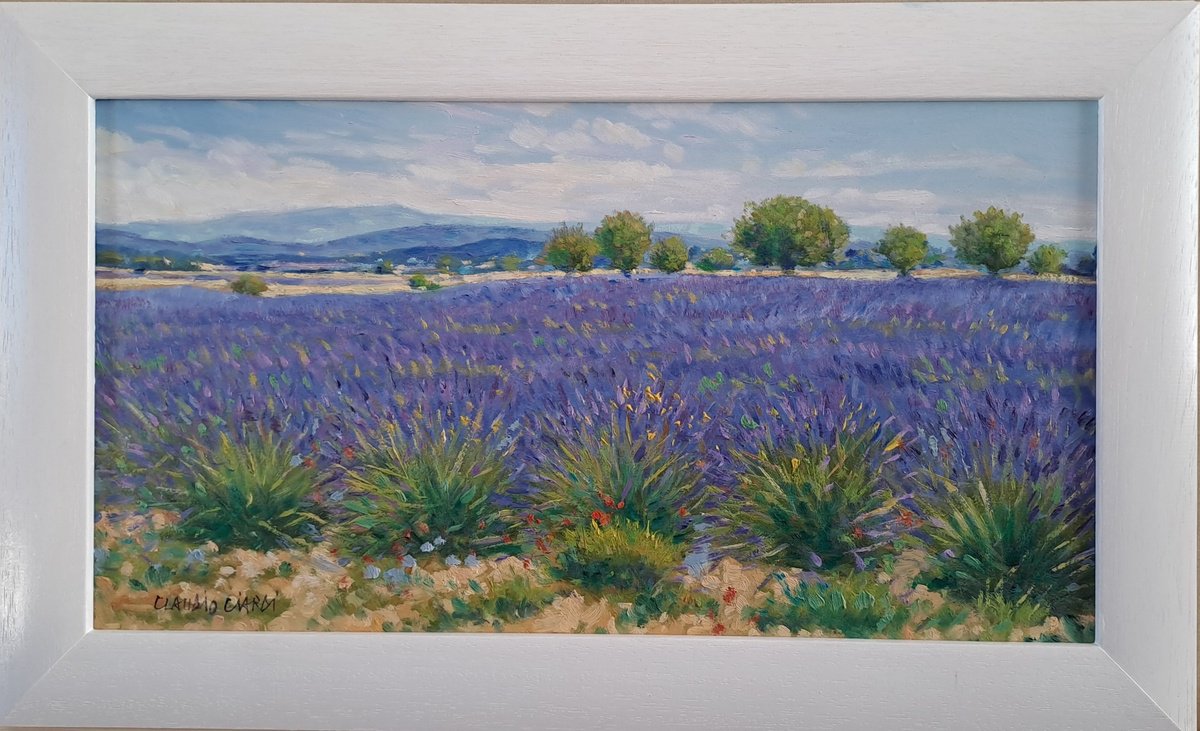 Impressionistic Botanical Oil Painting By Claudio Ciardi, 20 X 13, Lavander Fields In Provence, Original Artwork