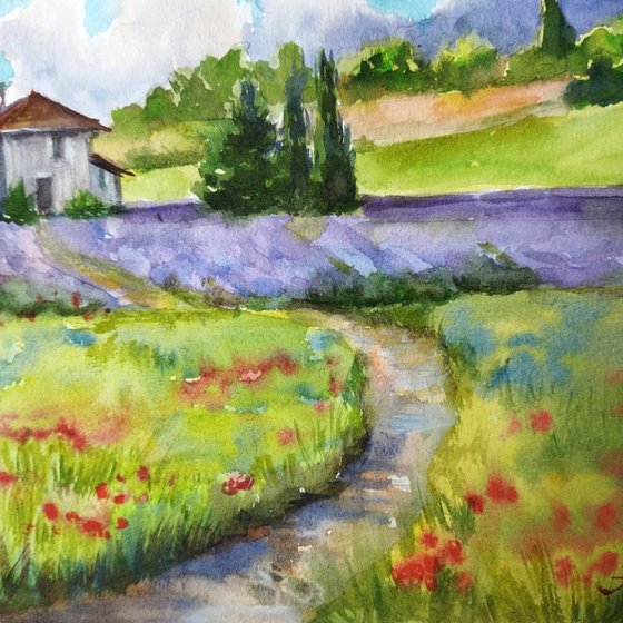Provence. Lavender field