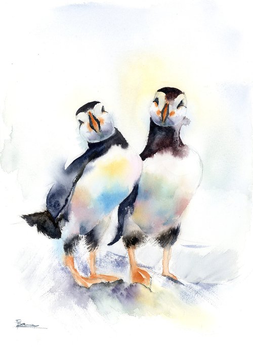 Pair of puffins (birds) by Olga Shefranov (Tchefranov)