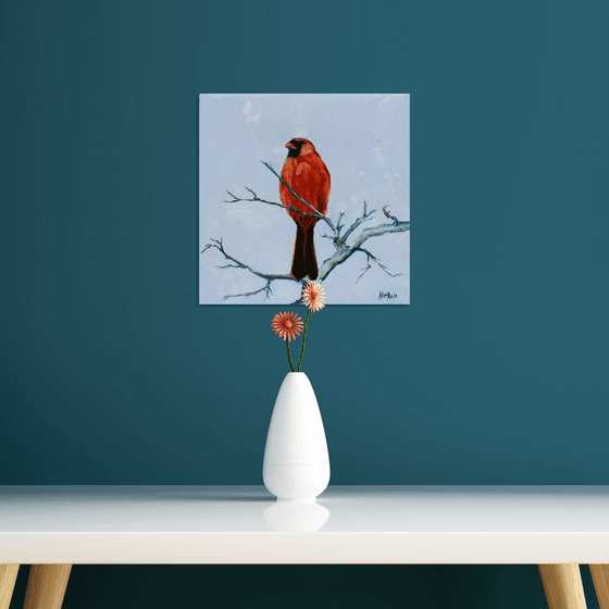 Song birds - Cardinal II