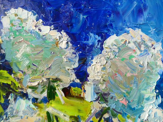 " Hydrangeas "