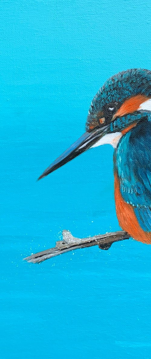 Kingfisher Blue by Laure Bury