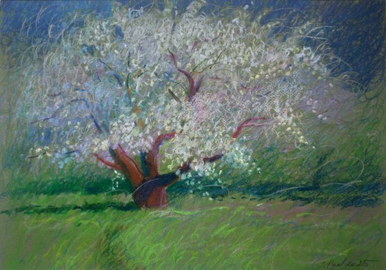 Apple tree
