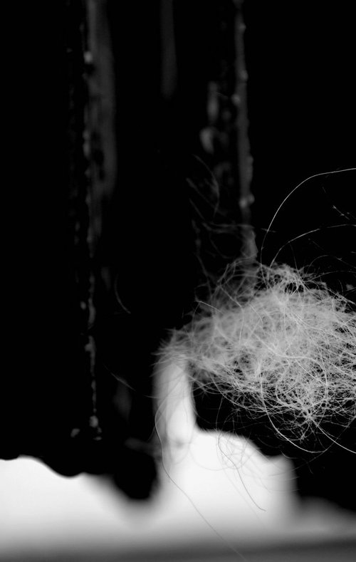 Coton...... by PHILIPPE BERTHIER