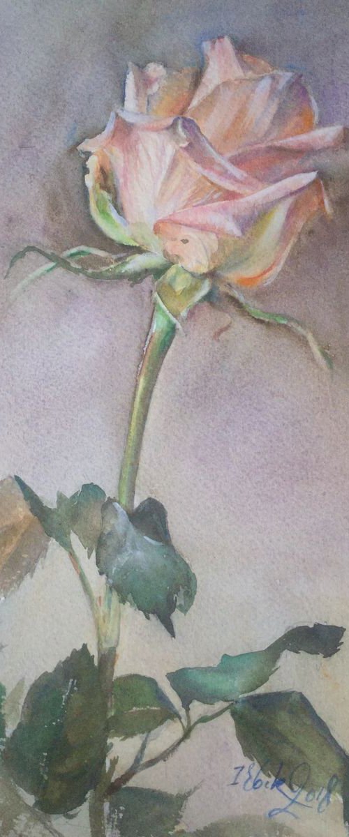 Rose 08082018 by Irina Bibik-Chkolian