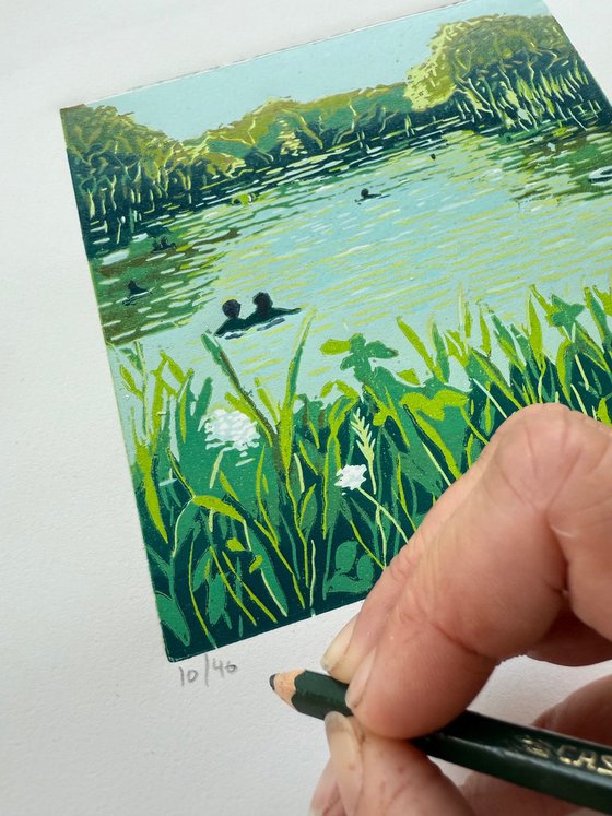 Summer Swim, the Ladies Pond