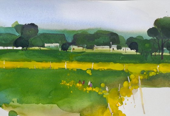 Summer yellow, mustard flowers