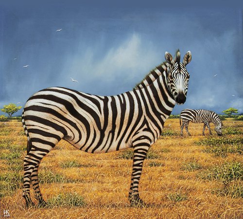 Zebras by Ivan Karafilovski