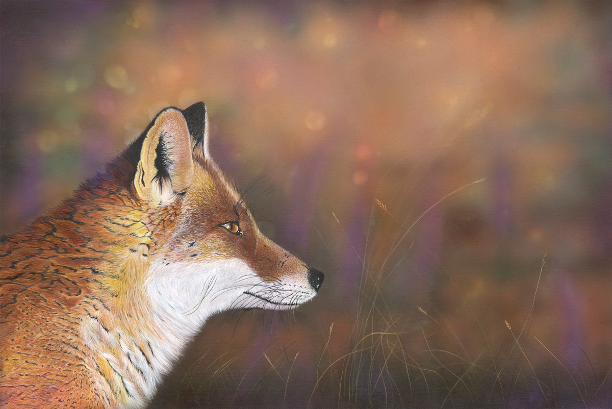 Photorealistic Animal Acrylic Painting By Irsa Ervin, 37 X 25, Foxton, Original Artwork