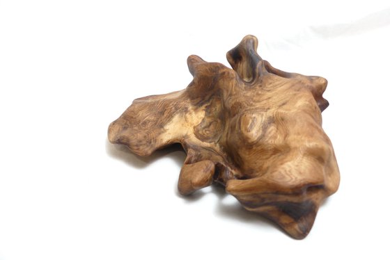 Be Like Water (2025)