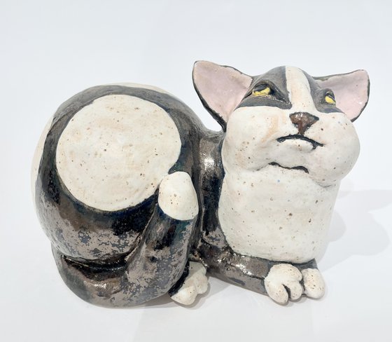 Whispers of Purrfect Peace