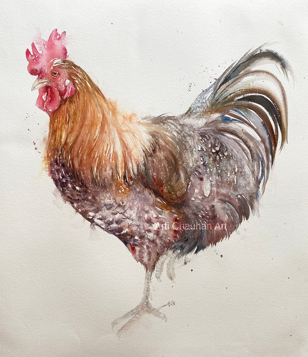 Impressionistic Animal Watercolour By Arti Chauhan, 20 X 22, Big Bert_ Rooster, Original Artwork