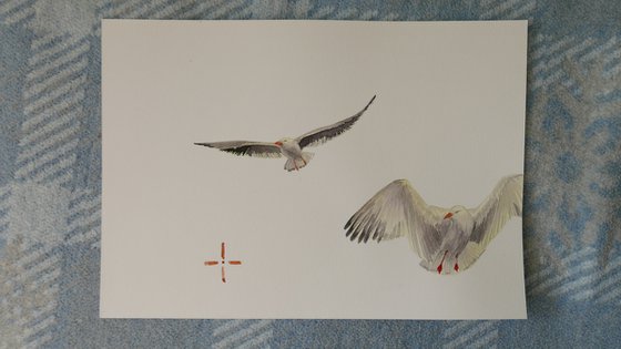 Two gulls scared sketch (5/5)