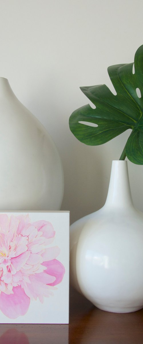Pivoine by Susan Porter