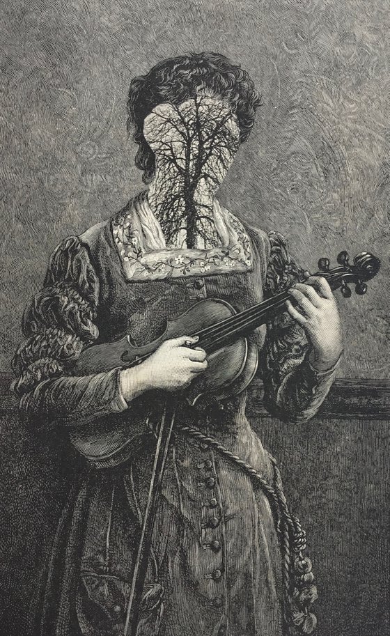 Violin