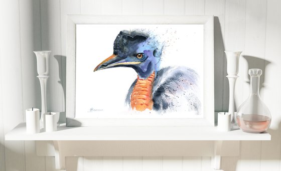 Cassowary bird