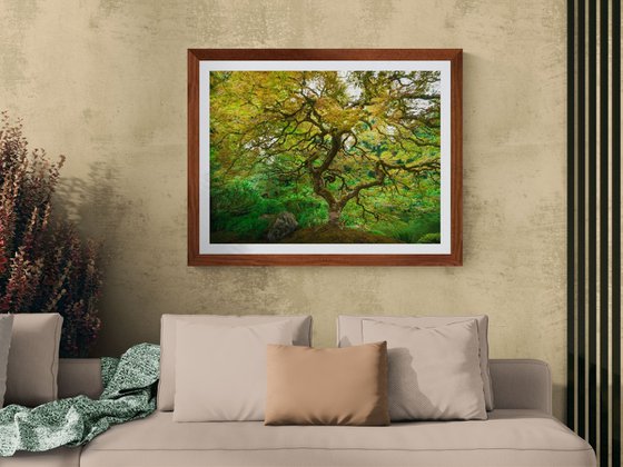 TREE OF LIFE