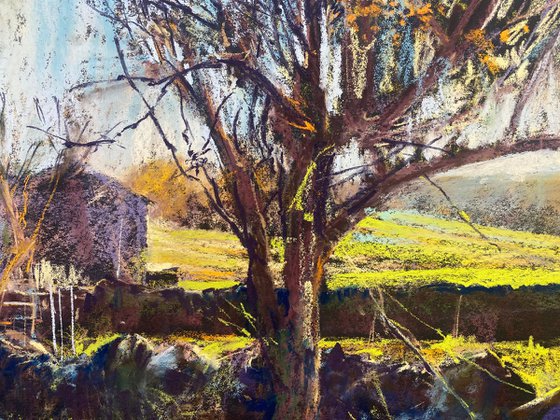 Morning Spring light - Grassington, The Yorkshire Dales