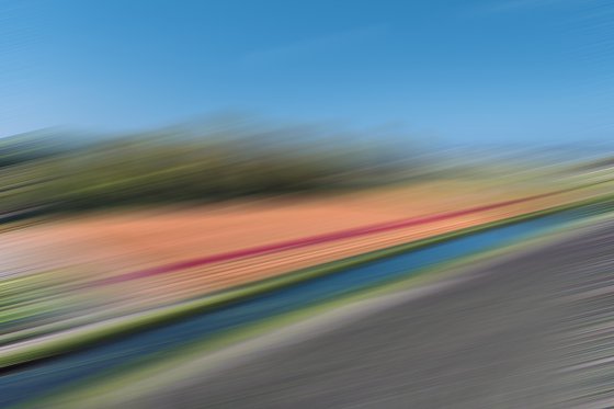 COLOURED FIELDS