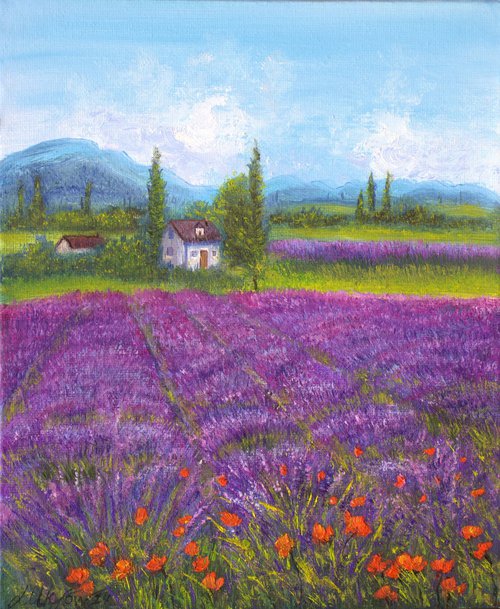 Lavender field by Ludmilla Ukrow