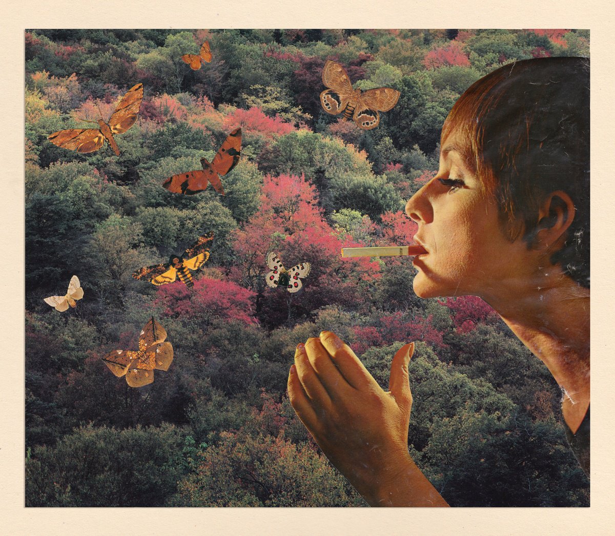 Surrealistic Portrait Collage By Jon Garbet, 15 X 13, She