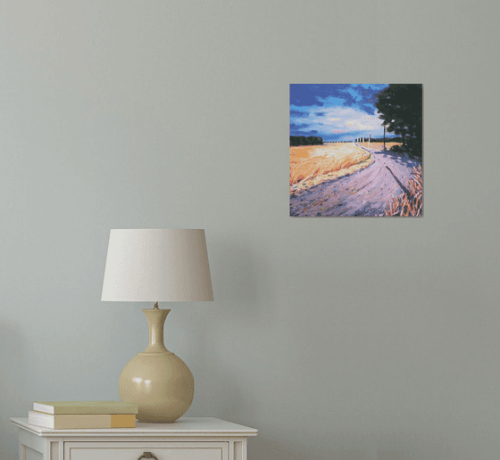 Provence fields