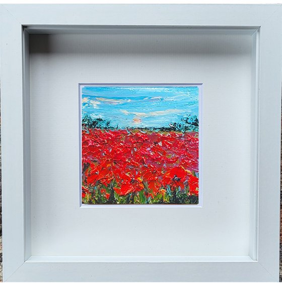 Poppy Dreams