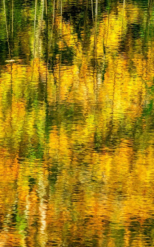Autumn Trees - Loch Vaa Scotland by Stephen Hodgetts Photography