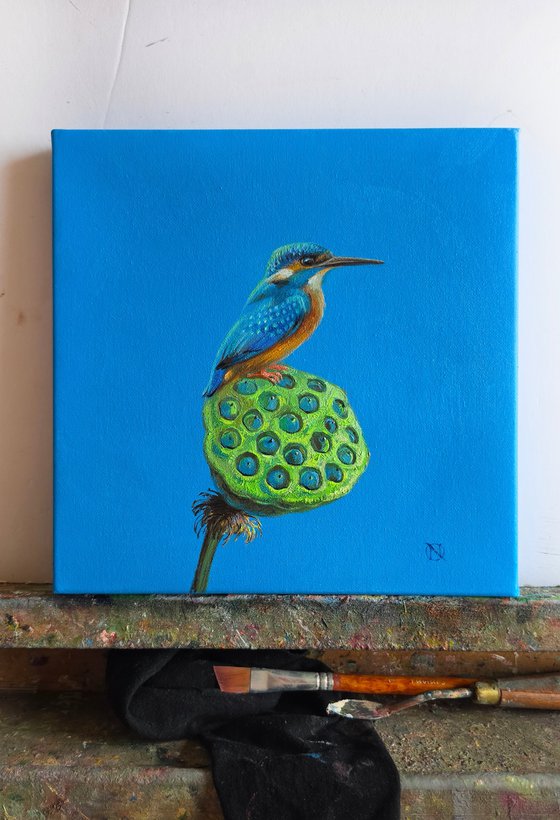Kingfisher Bird