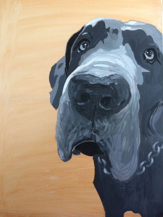 WINSTON - GREAT DANE  ( Commissioned Pet Portraits)