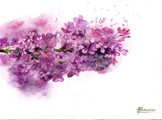 Lilac - Original Watercolor