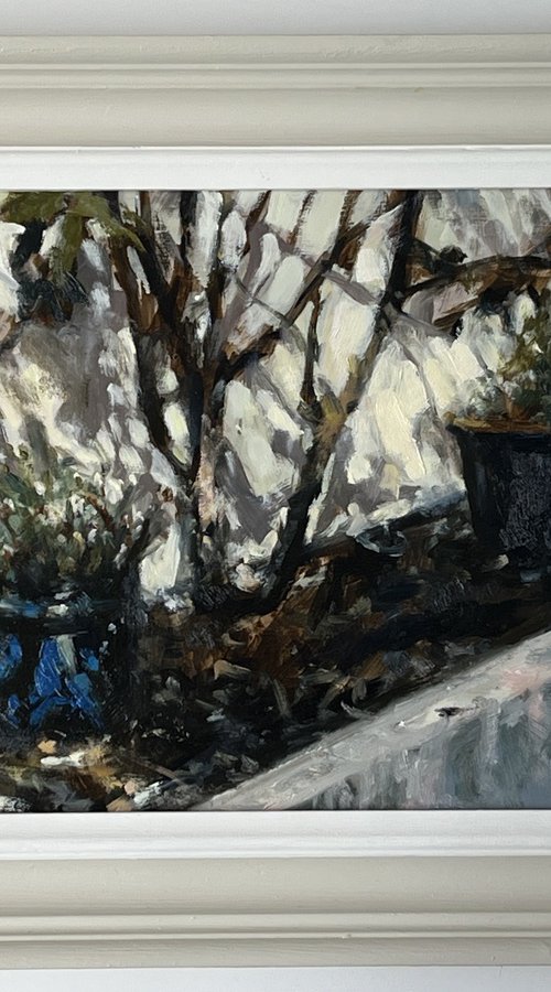 Garden Pot, Strong Sunlight by Simon Zekaria