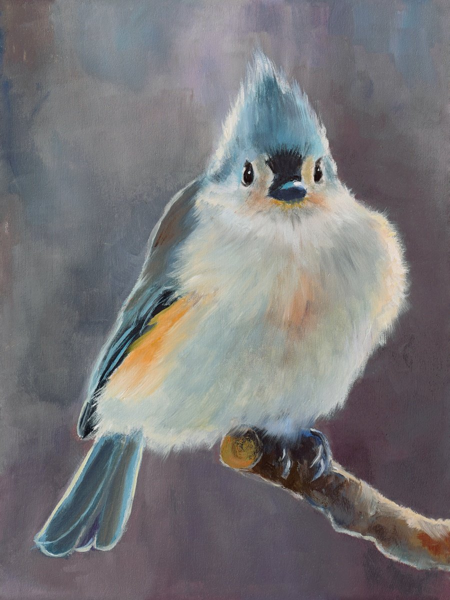 Lovely crested titmouse bird by Lucia Verdejo
