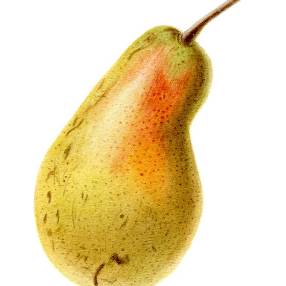 Pear