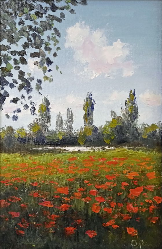 Poppies by the river