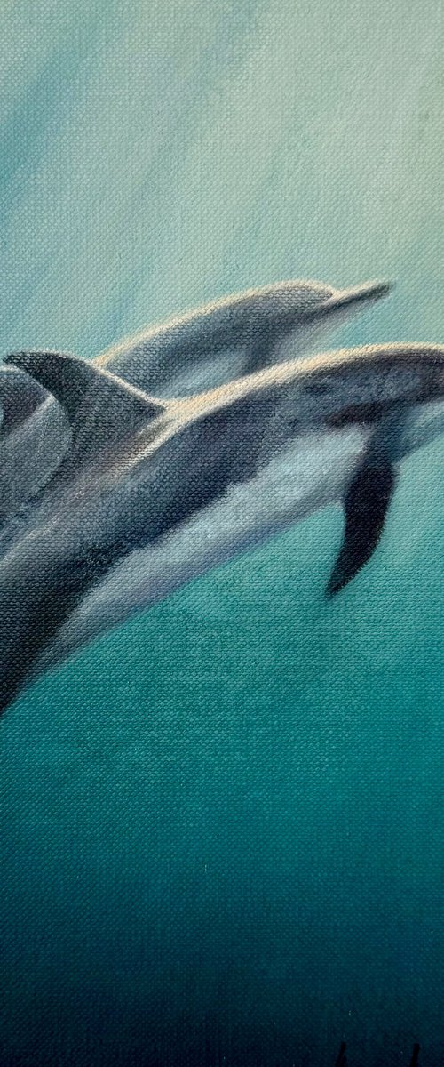 Dolphins in turquoise water by Alina Marsovna