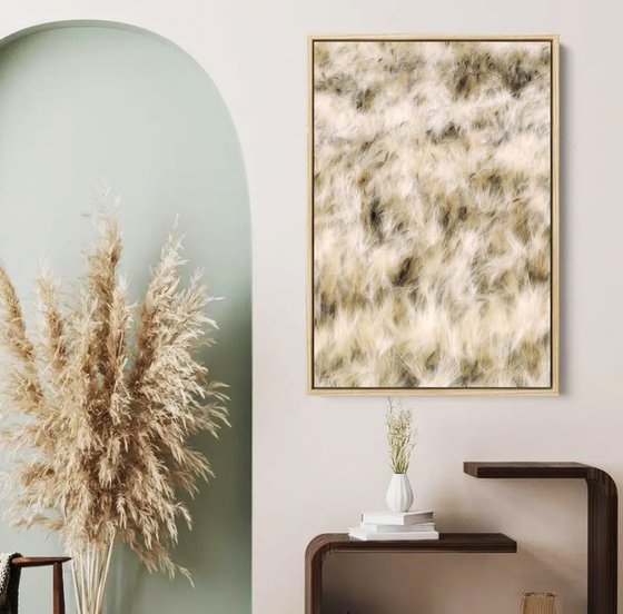 Dancing grains (studio 6)