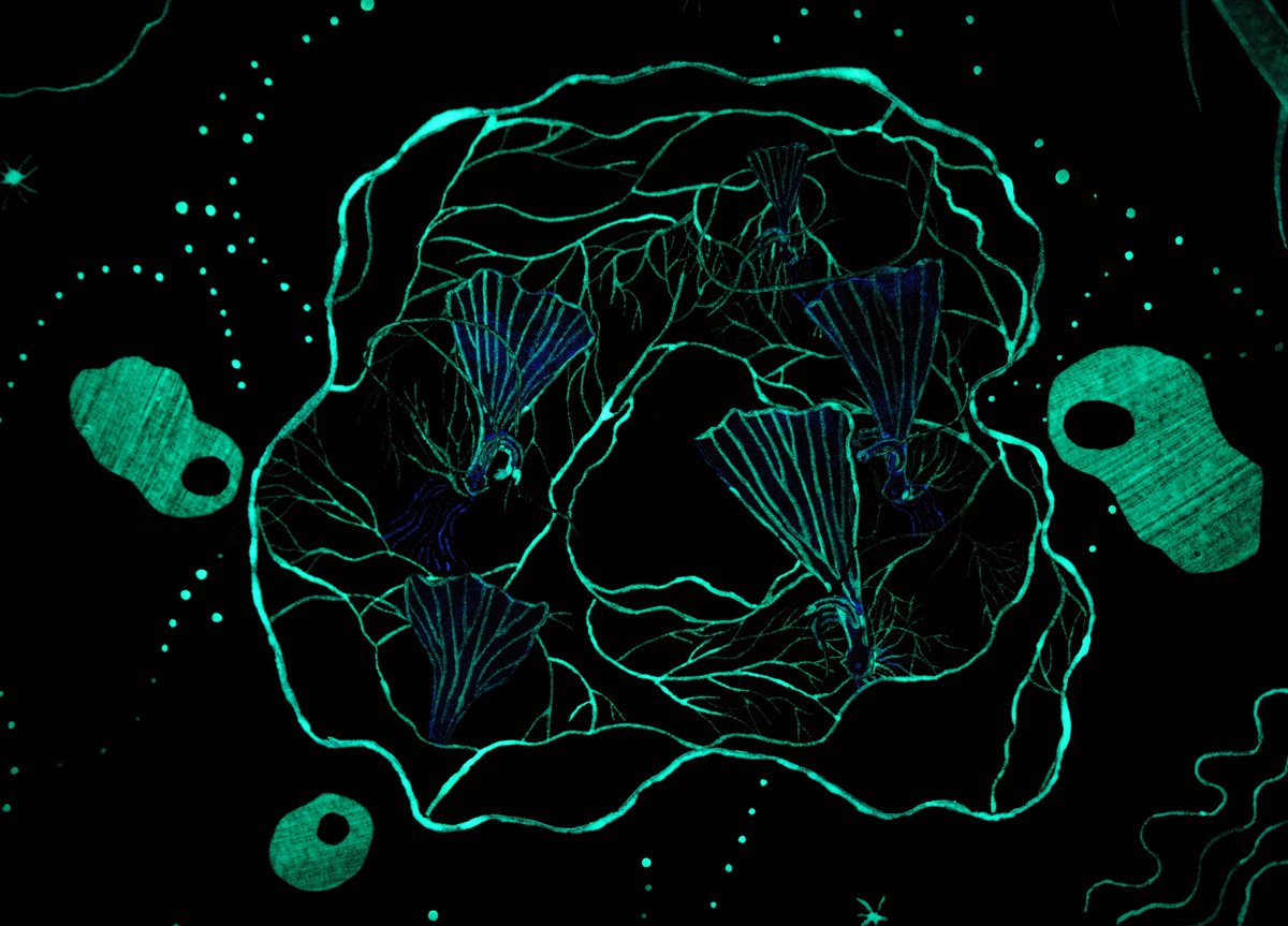 Weaving Mushrooms by Hannah Battershell