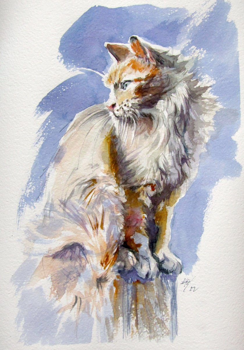 Impressionistic Animal Watercolour By Kovacs Anna Brigitta, 10 X 14", Sitting Cat Ii, Original Artwork