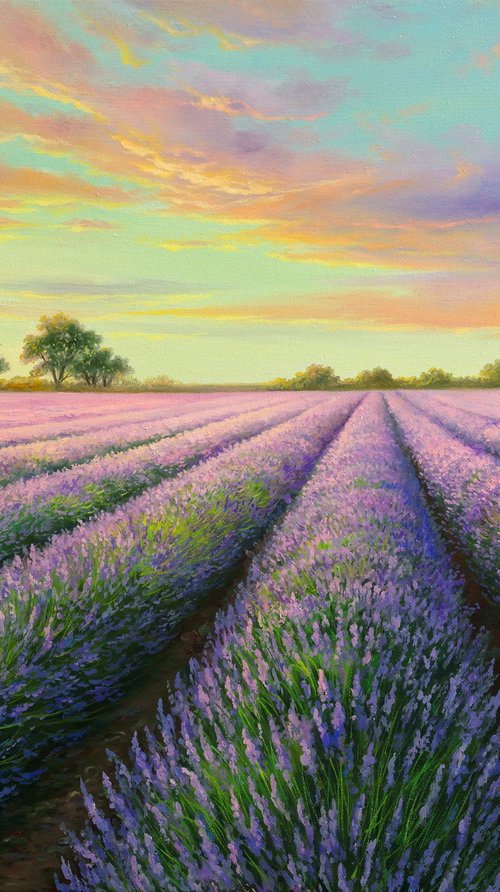 Lavender evening by Eduard Zhaldak