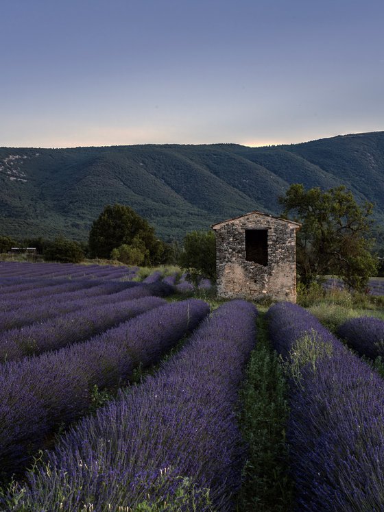 THE SUNSET OF PROVENCE