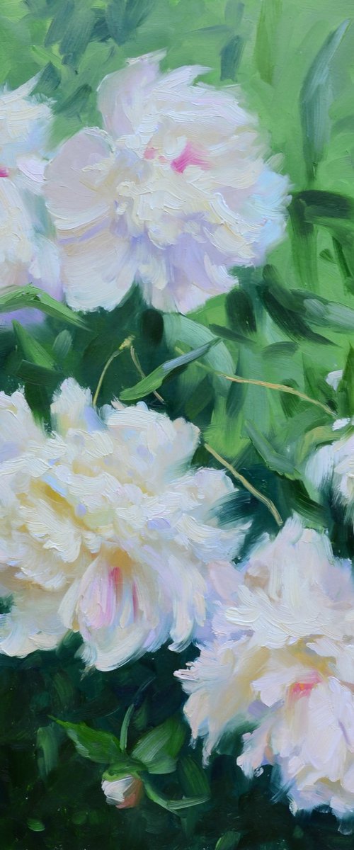 White peonies. Etude by Ruslan Kiprych