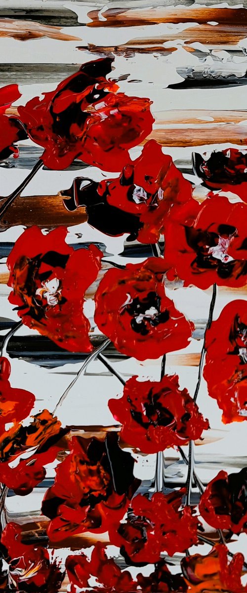 Red Poppies 5 by Daniel Urbaník