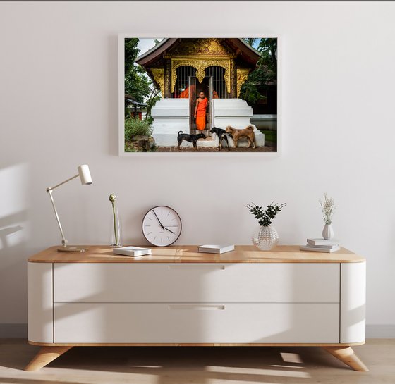 Temple Dogs of Laos No.1