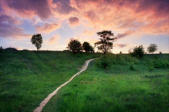 Pathway to the twilight.