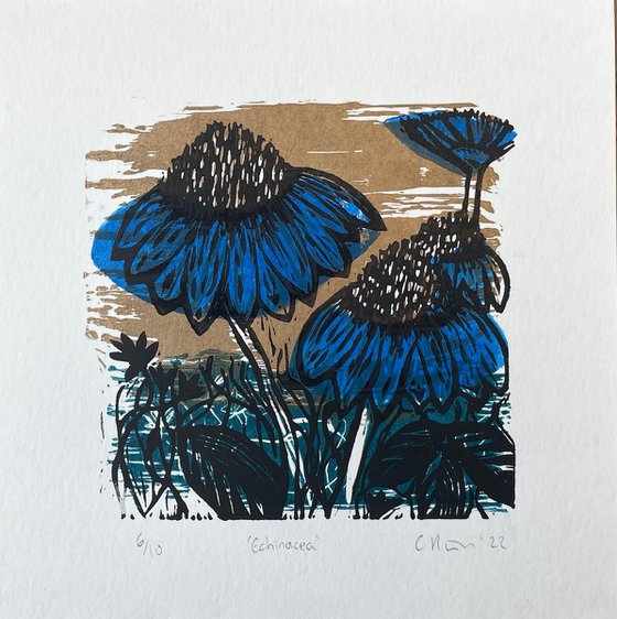 Echinacea Mini Print