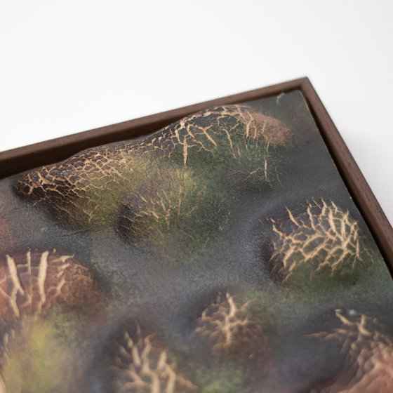 Terra Cognita. Soil Horizon 01