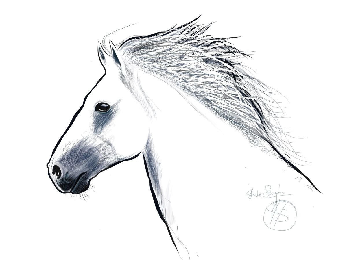 White horse 2 by Shabs  Beigh