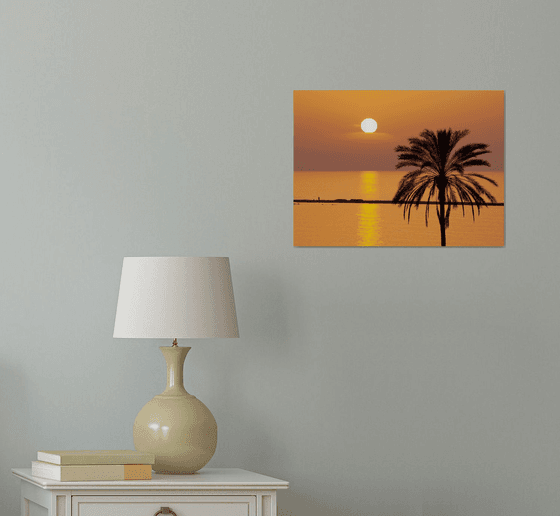 Palm Sunset, Cyprus